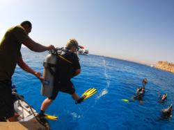 Camel Dive Club - Diving